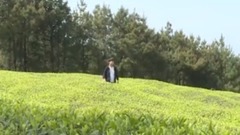 华语群星 - 三生有幸