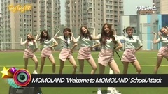 MOMO LAND - 170518 MOMOLAND - Welcome to momoland 首尔恩平区新道中學校 突击应援演出