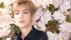 鹿晗 - L'OCCITANE x LUHAN鹿晗 樱你而真 欧舒丹甜蜜樱花系列 真心语"鹿"