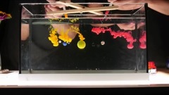 音乐短片 - 舞动的色彩