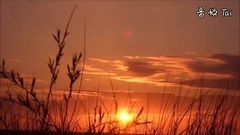 音乐短片 - A-Tu doar tu