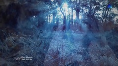 音乐短片 - Chris Spheeris