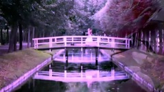 音乐短片 - I'm In Love With You