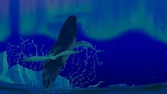 音乐短片 - 幻想曲2000:雷斯庇基交响诗《罗马之松》