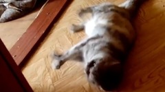 音乐短片 - Судорога