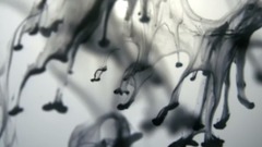 音乐短片 - Porsche Black Edition DC