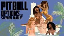 Pitbull - Options (Damaged Goods Remix (Audio))