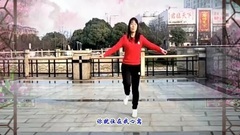 舞蹈视频,司徒兰芳 - 女人没有错-鬼步舞