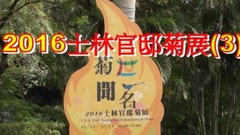 风景 - 2016士林官邸菊展 Taipei Chrysanthemum Show