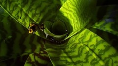 音乐短片 - 夏日的绚丽