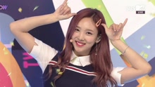 twice - TWICE - SIGNAL - SBS The Show 现场版 17/05/23