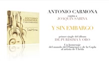 Y Sin Embargo (Audio)
