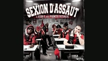 Sexion d'Assaut - Mon gars sûr (audio) (Still/Pseudo Video)