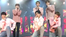 VICTON,SF9 - VICTON & SF9 - you are so beautiful - KCON 2017 Japan×M COUNTDOWN 17/05/25