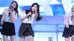 MOMO LAND - Wonderful love