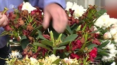欧美达人 - Flieder Und Rhododendron Im Heimischen Garten