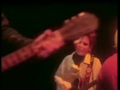 贝阁中国 - Feed the Tree