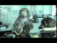 贝阁中国 - Where's Your Head At