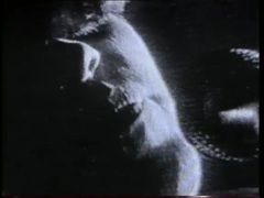 贝阁中国 - The Only One I Know