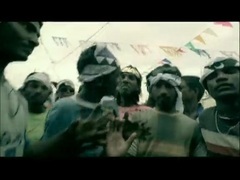 贝阁中国 - BirdFlu