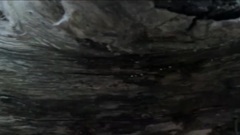 贝阁中国 - The Place