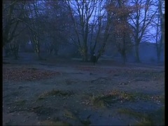 贝阁中国 - Cuts You Up