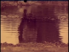 Badly Drawn Boy - It Came From the Ground