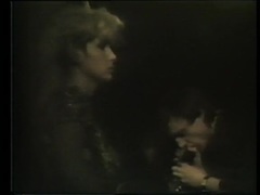 The Fall - Mr. Pharmacist