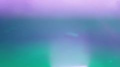 ANOHNI - Paradise