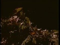 Fields Of The Nephilim - Blue Water