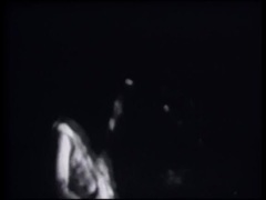 贝阁中国 - Cry Wolf
