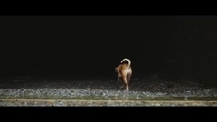 贝阁中国 - Roger Waters