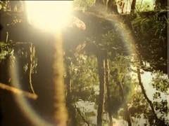 贝阁中国 - Quand je ferme les yeux