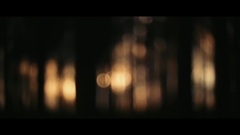 贝阁中国 - Starwood Choker
