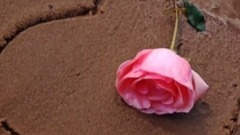 音乐短片 - Love Words