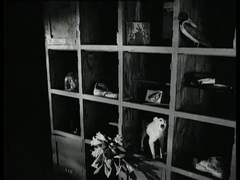 贝阁中国 - Fingers