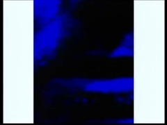Swell - (I Know) The Trip