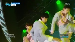 Seventeen - Crazy In Love