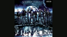 Sexion d'Assaut - A coeur ouvert (audio) (Still/Pseudo Video)