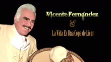 Vicente Fernández - La Vida Es una Copa de Licor (Cover Audio)