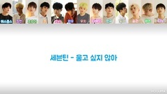 Seventeen - 不想哭 (Don't Wanna Cry) 歌词版