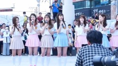 DIA - 你不知道的春天