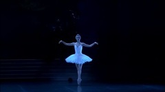 欧美群星 - Swan Lake – Tchaikovsky