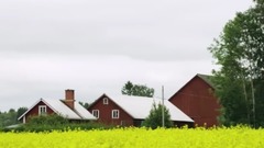 音乐短片 - A Freestyle Daydream