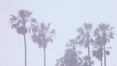 韩国群星 - Lemonade