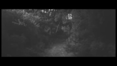欧美群星 - Kalbim