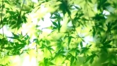 音乐短片 - 司机哥们