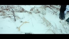欧美群星 - The Sinner