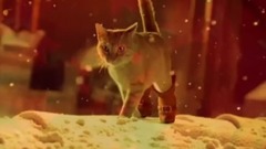 音乐短片 - My Love For You Is Like All The Stars In The Sky