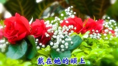 原创 - 她的眼睛像月亮